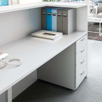 Recepci&oacute;
