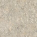 coll CITY